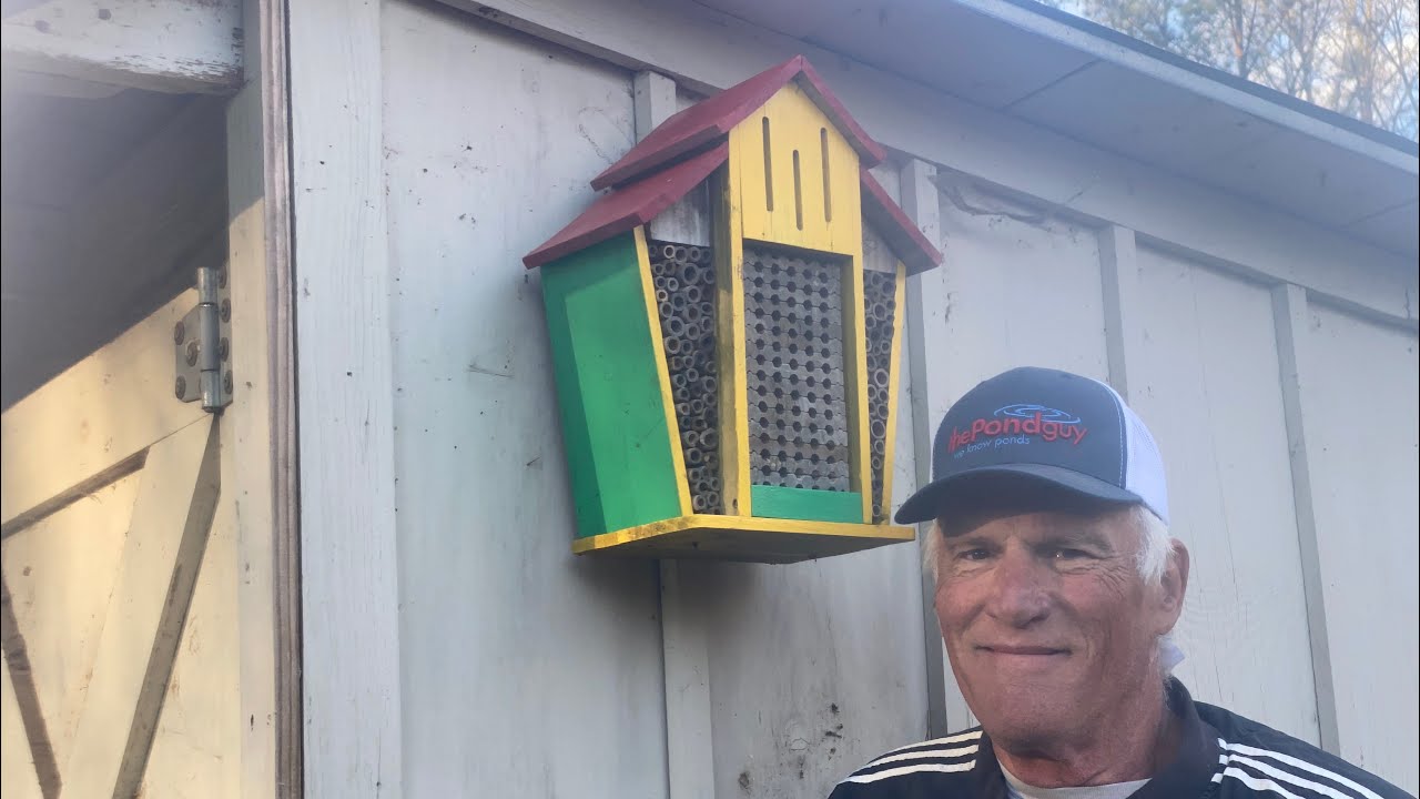 Rejuvenated Solitary bee Habitat