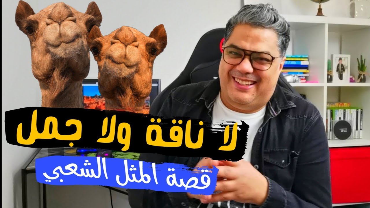 (قصة مثل ( لا ناقة لي فيها ولا جمل