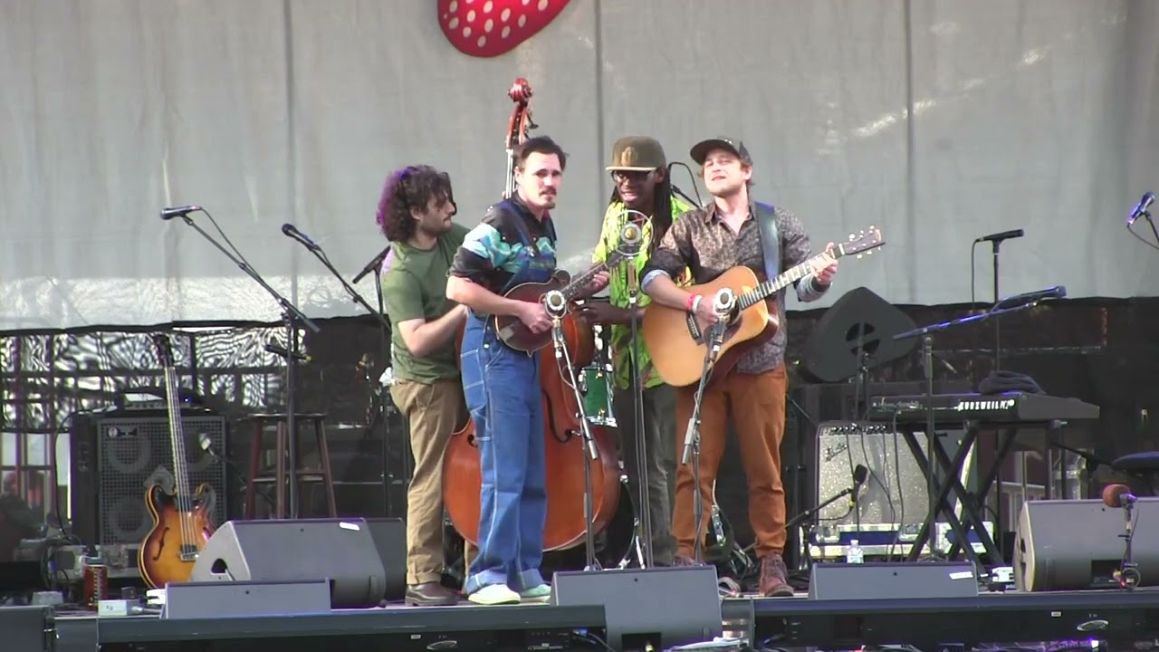 Twilight - Sam Grisman Project at Strawberry 2023