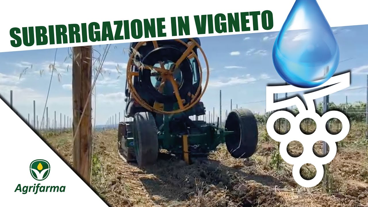 Subirrigazione in vigneto