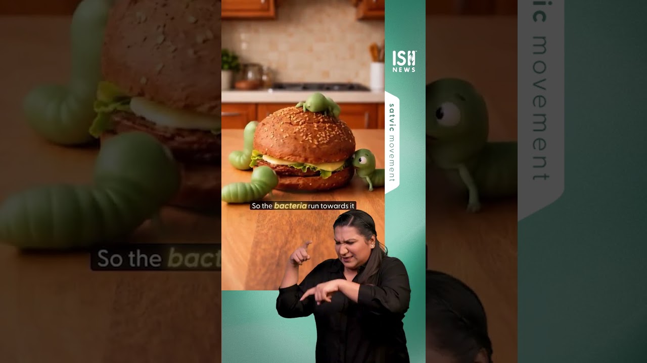 Homemade Burger vs Restaurant Burger: The Truth Revealed 🍔  | ISH News