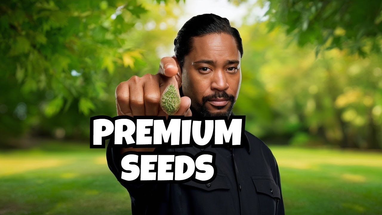 How to Choose Quality Cannabis Seeds (and Why It Matters)