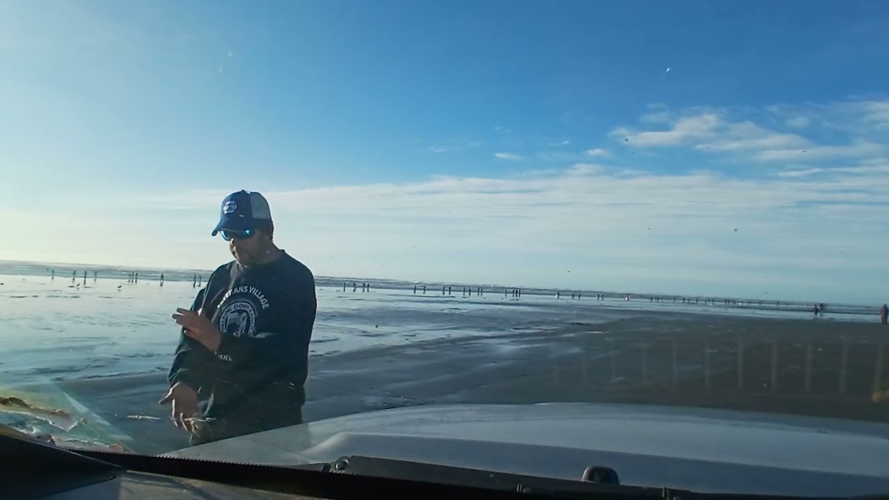 Thousands of people collecting razor clams