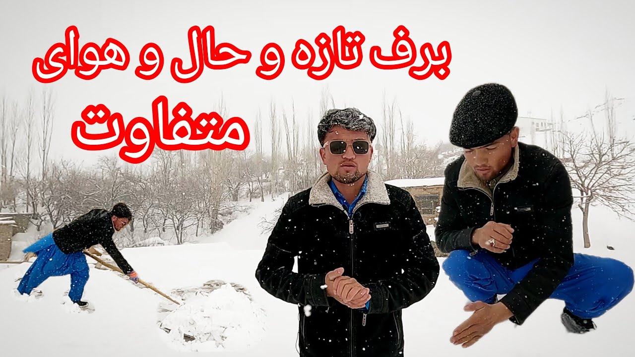 برفباری تازه و حال و هوای متفاوت صبح امروز🌨چقدر برف زده🌨🤔#برفباری_مانند_سابق#چهل باغتوی پشی_جاغوری.