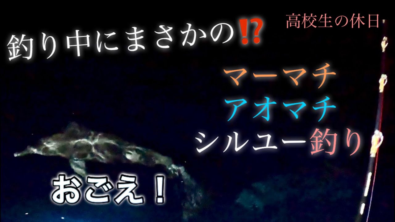 【マーマチ釣り】夜の海に