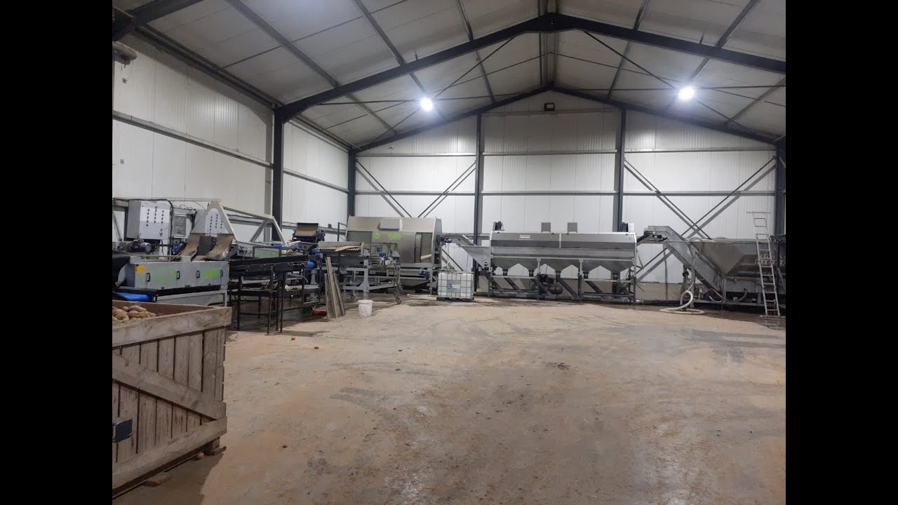 Linia do sortowanie i pakowania cebuli. Onion sorting and packing line, obcinaczka śmigłowa OSZ2