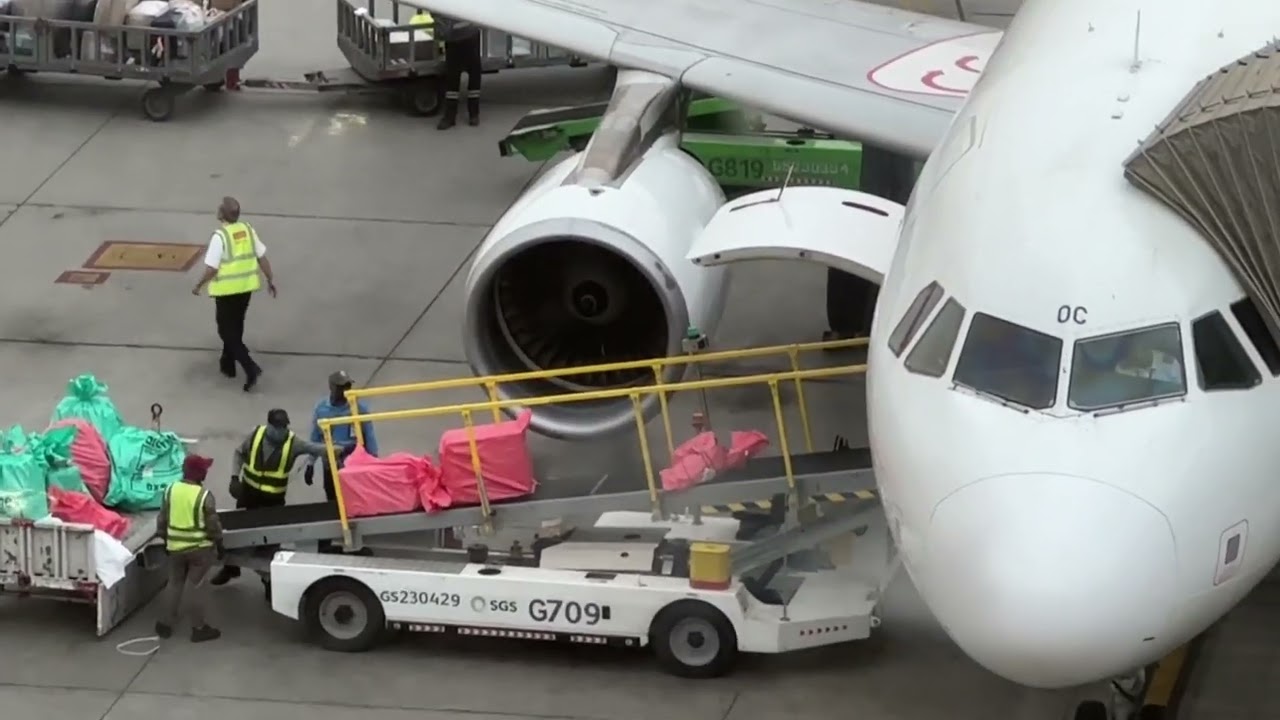 Baggage Loading and Unloading to Flight | Air Arabia Flight | Baggage Services #flight #aviation