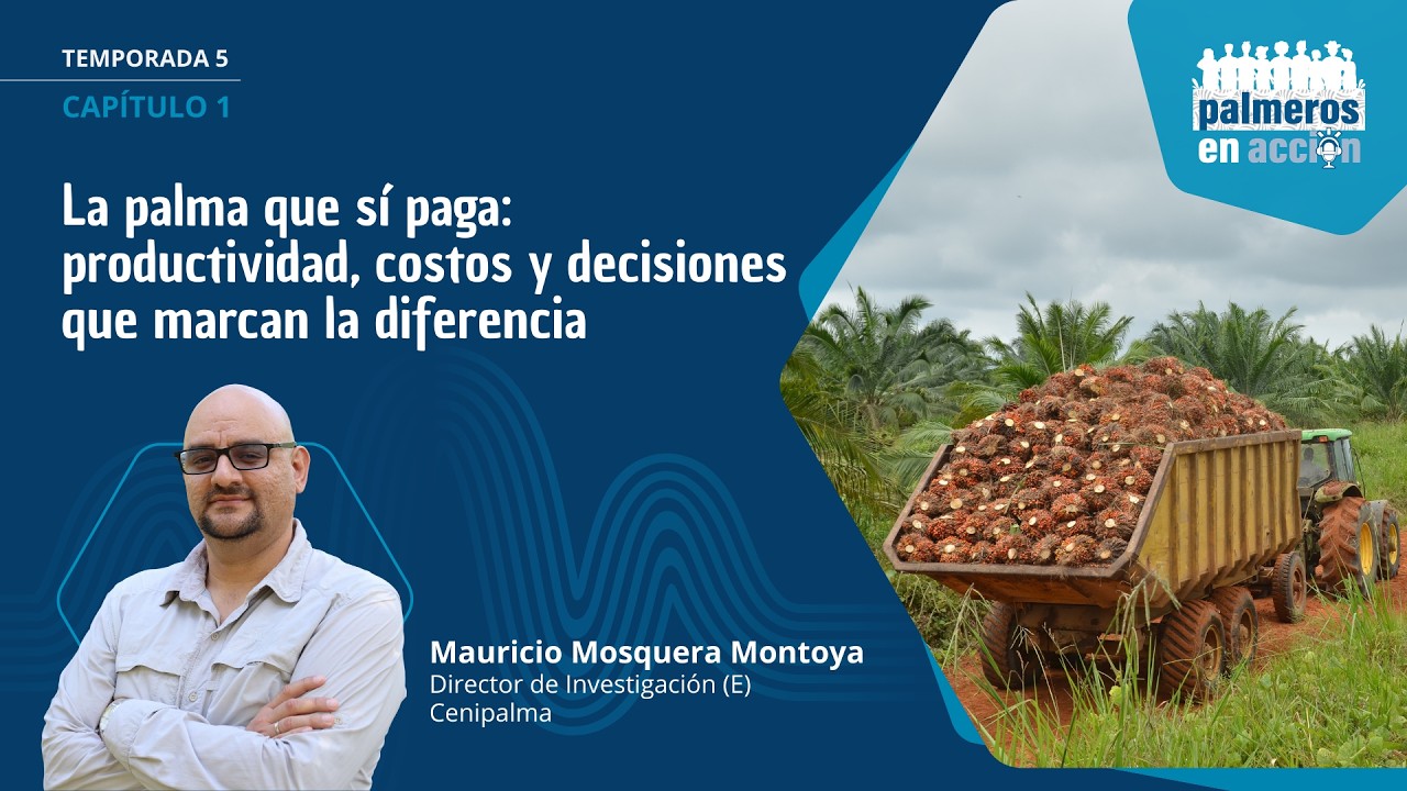 Podcast #PalmerosEnAcción| T5 Cap 1 | La palma que sí paga: productividad, costos y decisiones