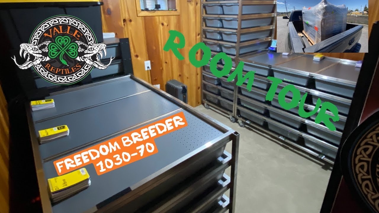 Freedom Breeder 1030-70 Pickup and Facility Tour + Ball Pythons