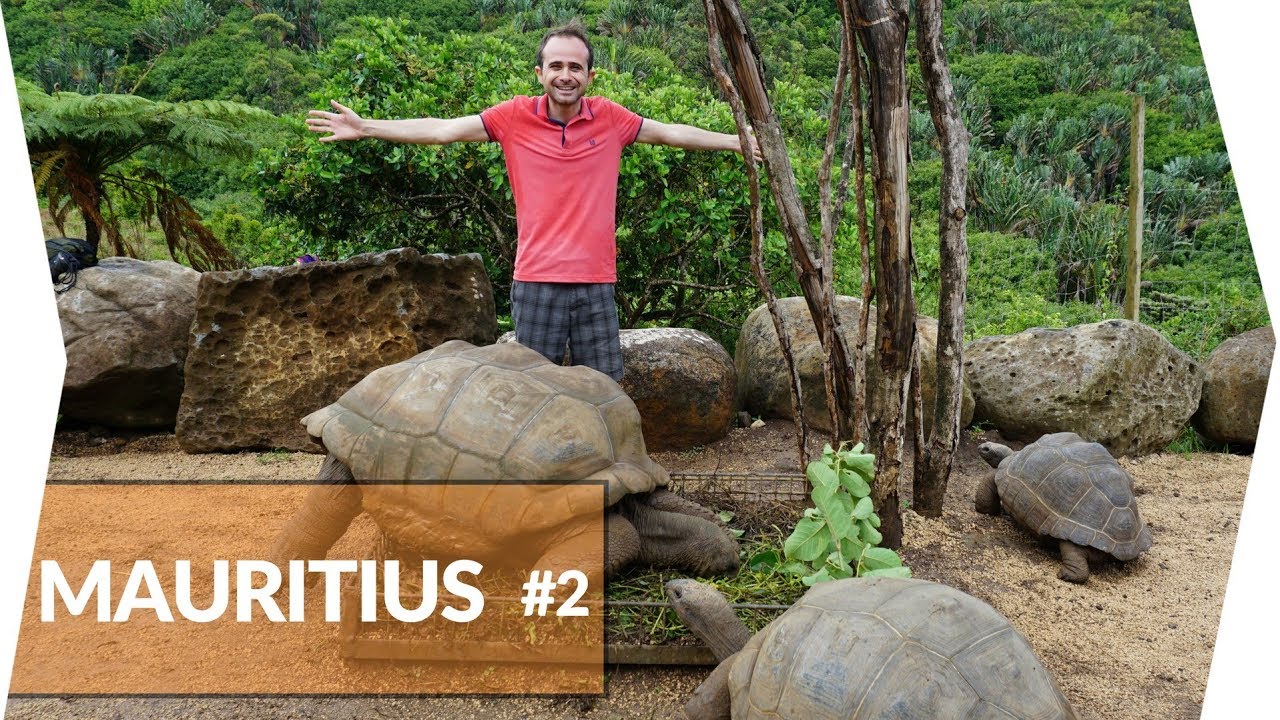 Dünya'nın En Uzun 3. Zipline'ında Macera | Mauritius
