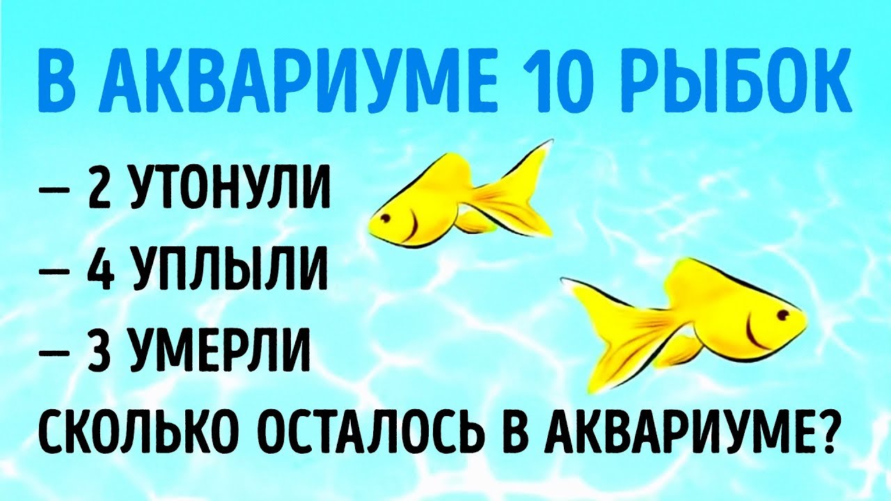 9 КАВЕРЗНЫХ ЗАГАДОК, КОТОРЫЕ ВЗОРВУТ ВАШ МОЗГ