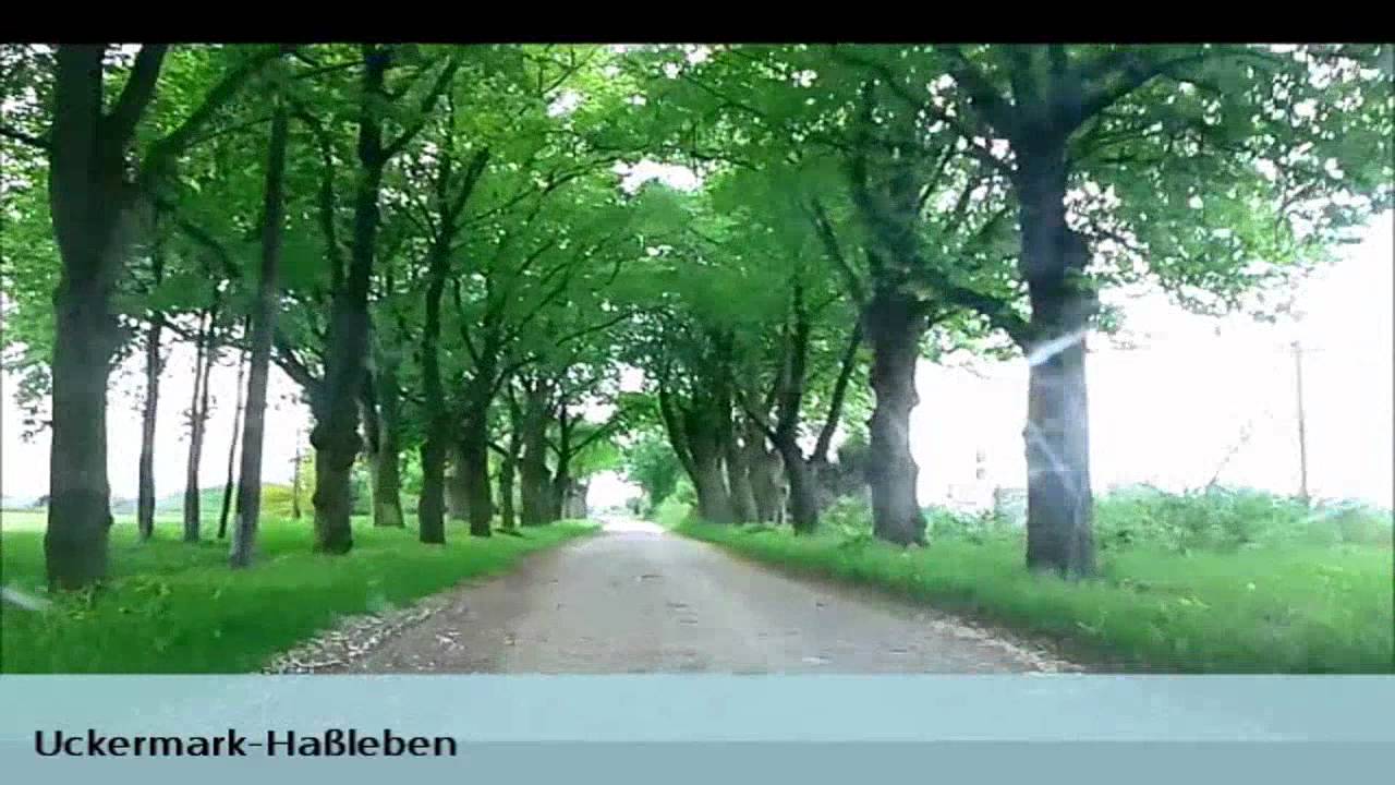 Uckermark-Tour 4 (Kuhz-Haßleben)
