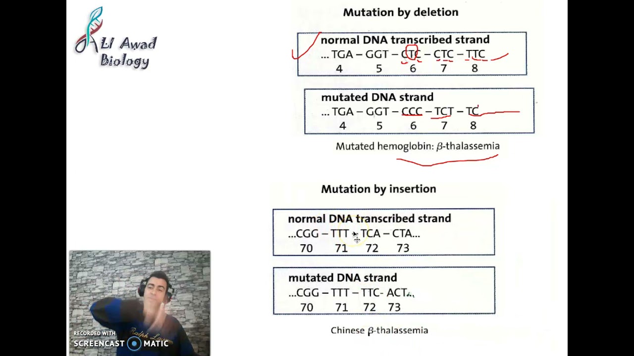 Chapter 4 Activity 2 Genes and Alleles(addition and deletion mutations) part 2 #Grade_11_science