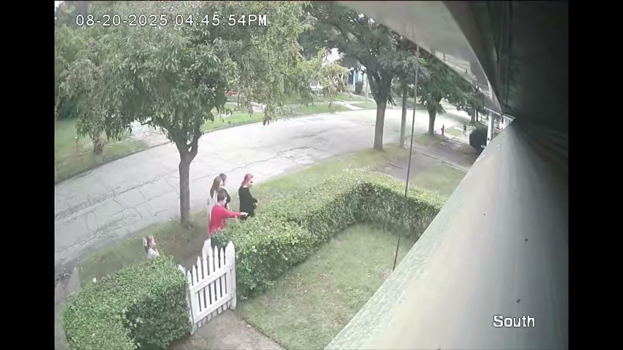This is the area of the bushes where I got the poison ivy. East 53rd. August 20, 2025