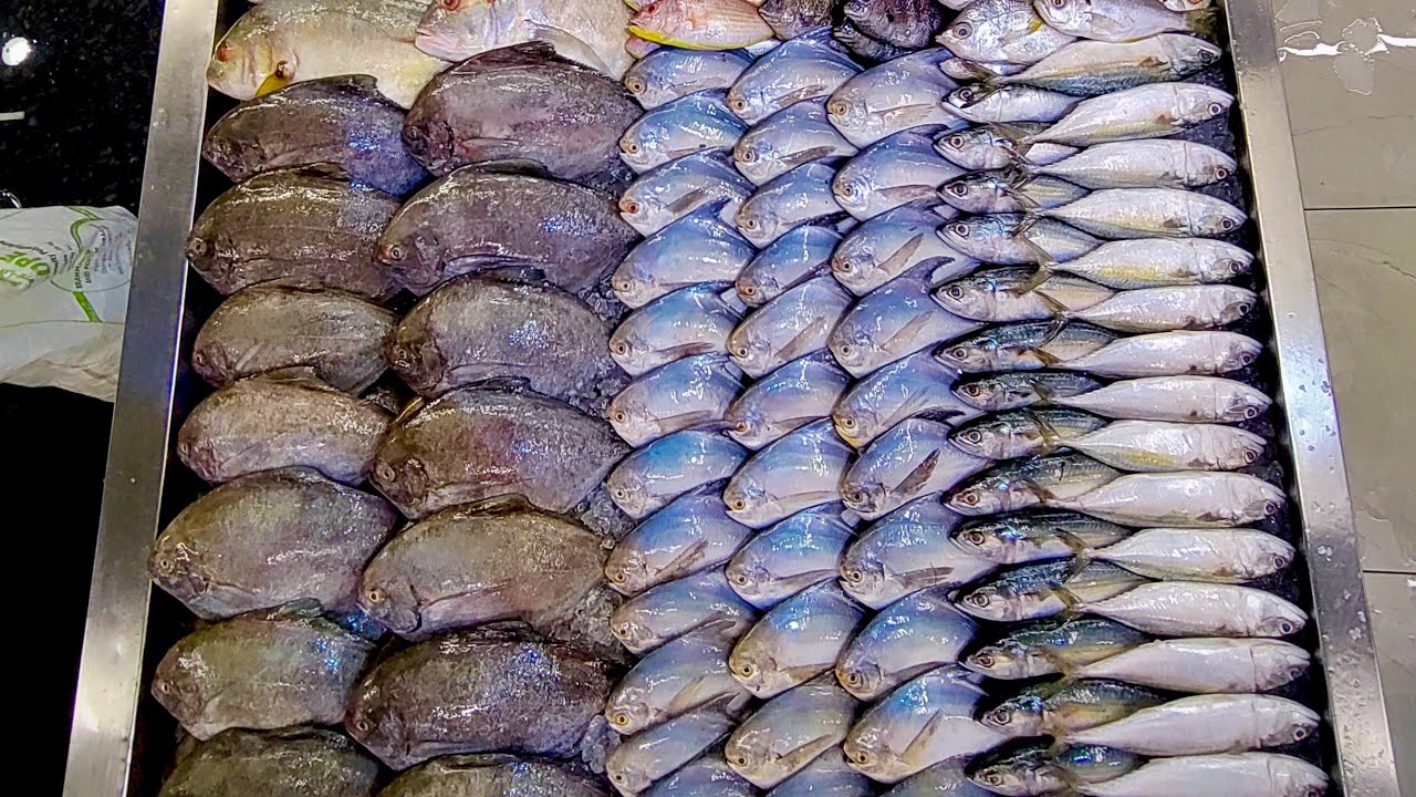 Big fish cutting skills 🐟🐟🐠🐠