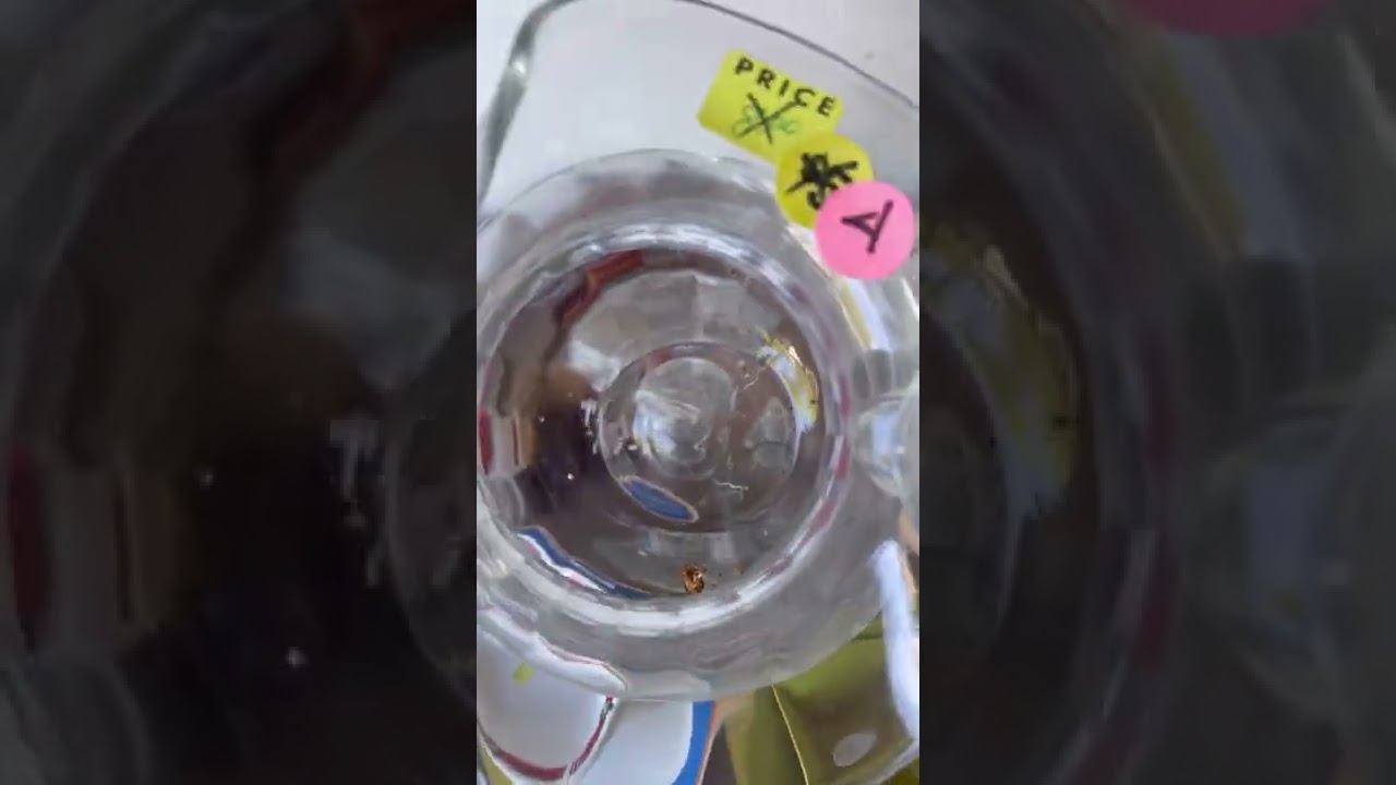 #I FOUND ROACHES AT THIS YARD SALE!! #ladyarbitrage #yardsale #garagesale #yardsalefinds #vintage