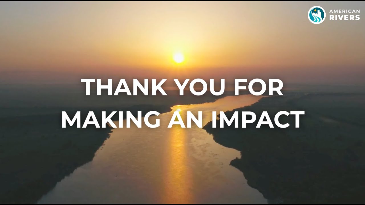 Your 2025 Impact in Action!