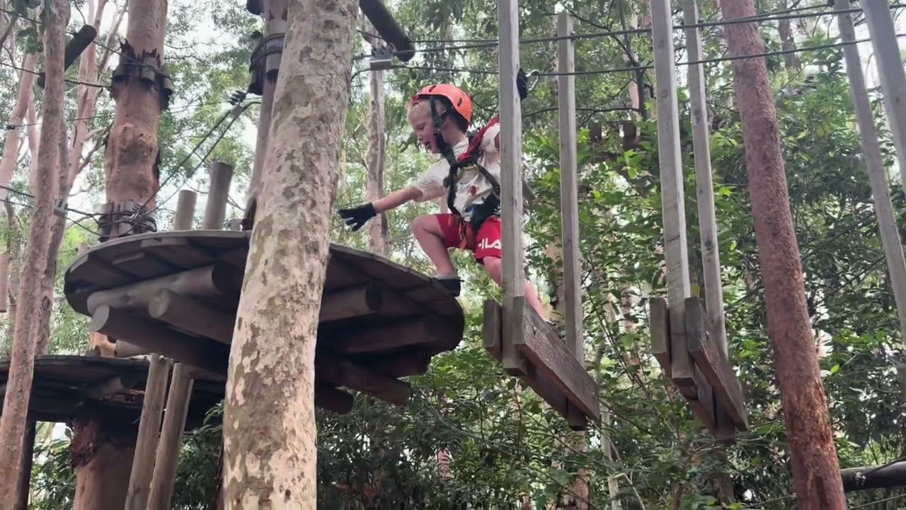 River Tree Top Adventure 