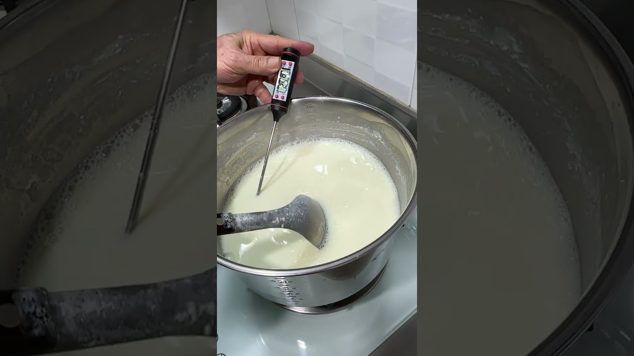 使用奶粉+優格機的優格做法