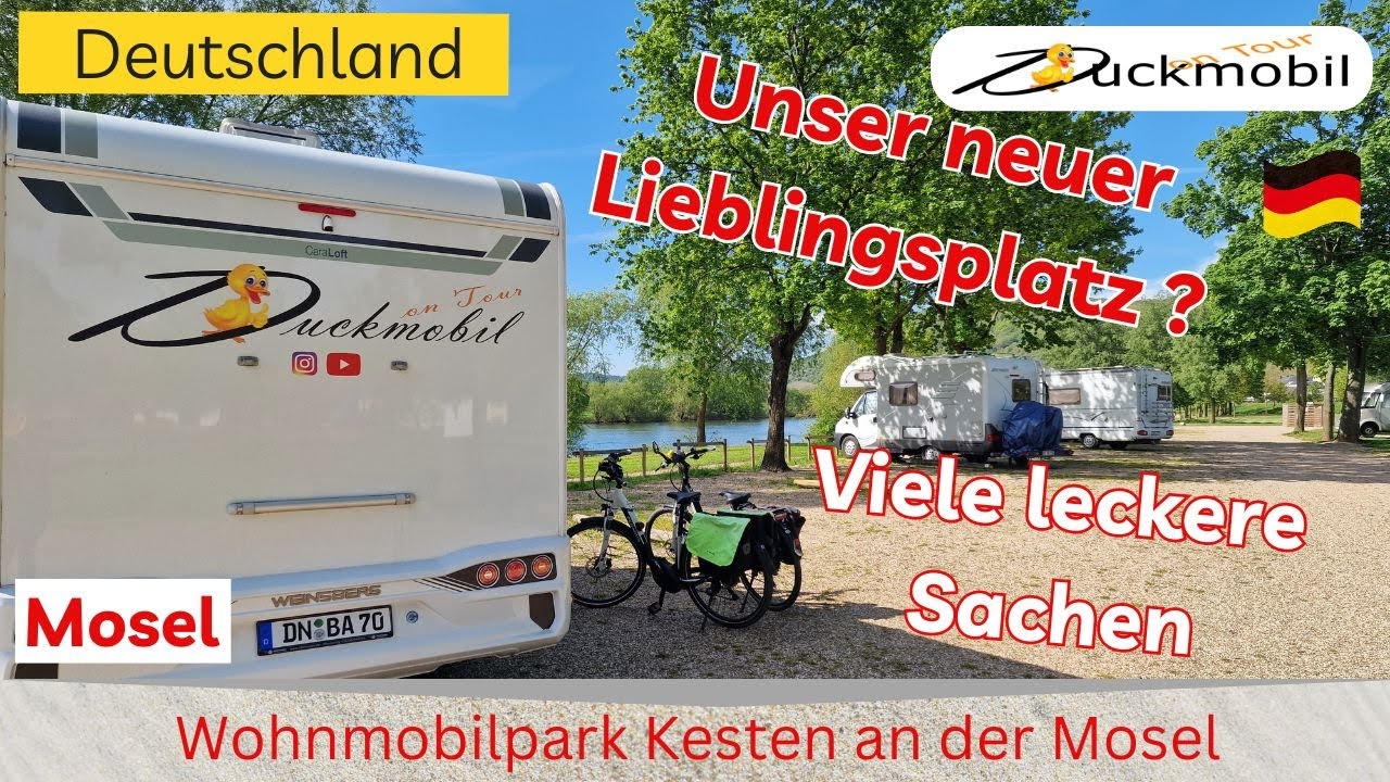 Wohnmobilpark Kesten direkt an der Mosel - unser absoluter Lieblingsort