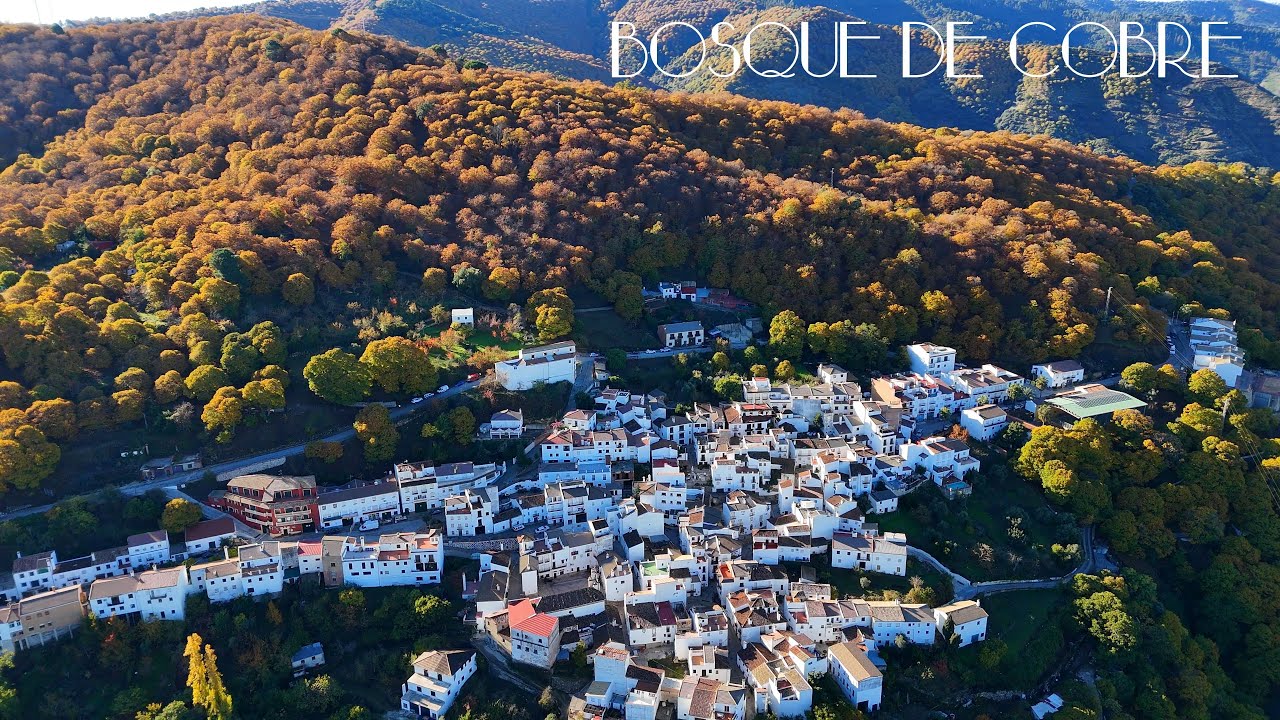 Bosque de cobre