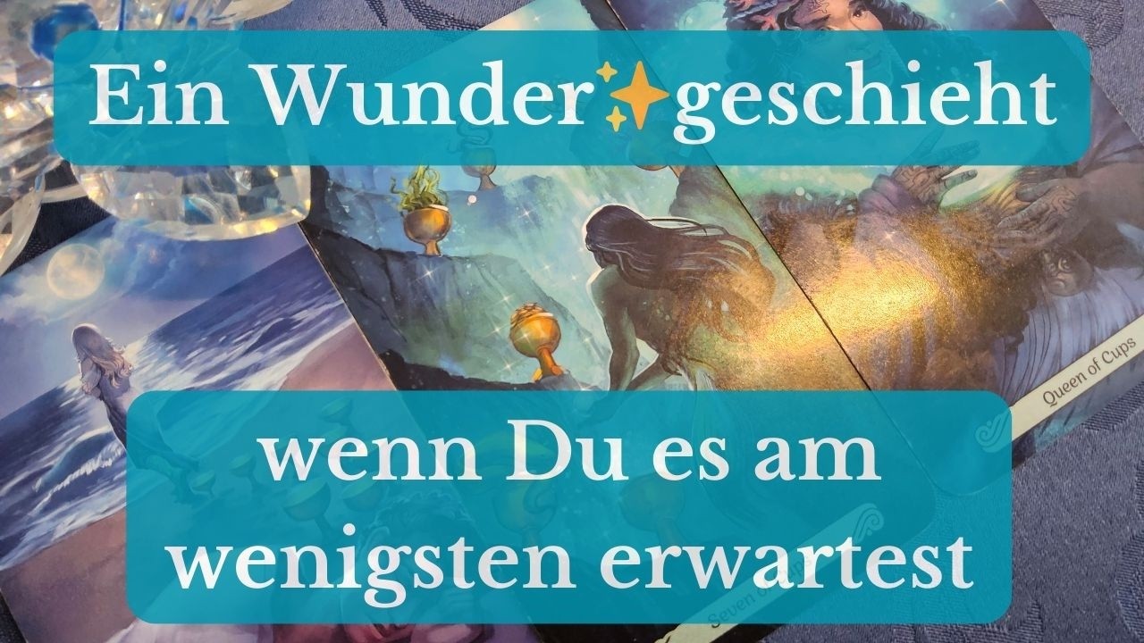 Ein Wunder geschieht, wenn Du es am wenigsten erwartest 🎉🌟
