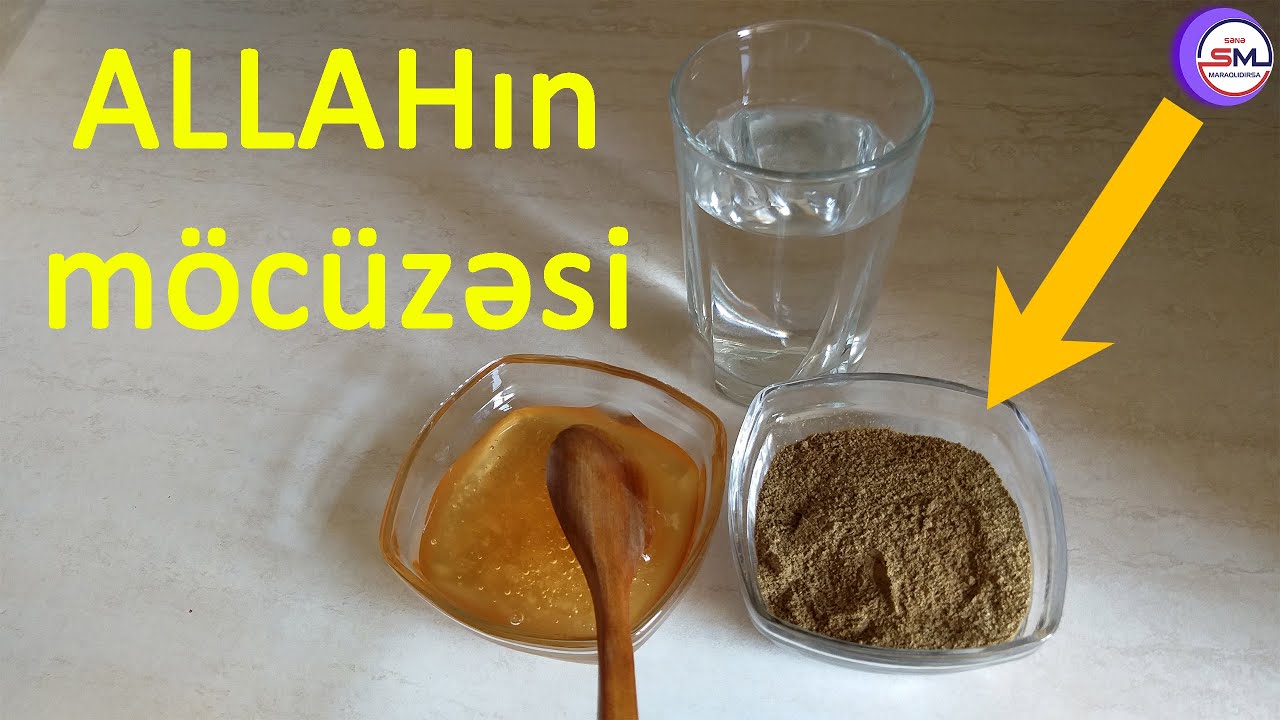 Ud hindi bitkisi nədir və onun faydaları