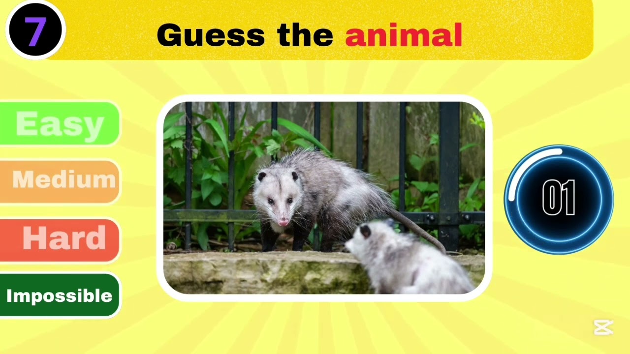 #quiz Fauna Quiz Part 4/4 niveaux impossible