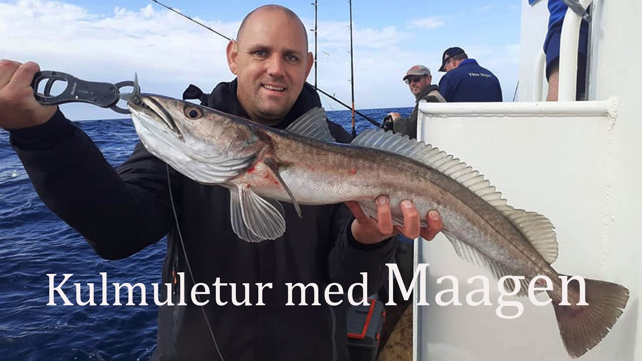 Specineers på Kulmuletur med Maagen