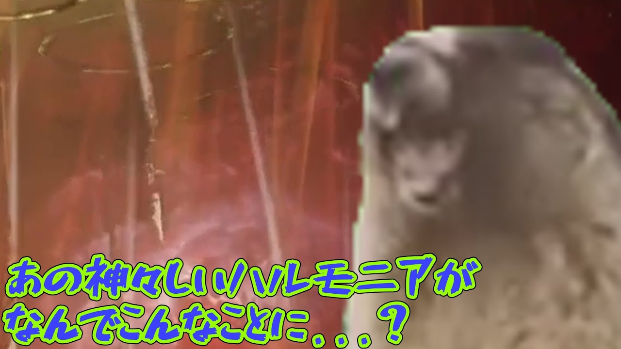 【ナイトレイン】常夜安寧者がサプライズ実装！初見チャレンジ行くぞ！
