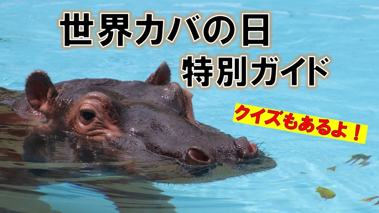 世界カバの日　特別配信　東武動物公園　公式YouTubeチャンネル