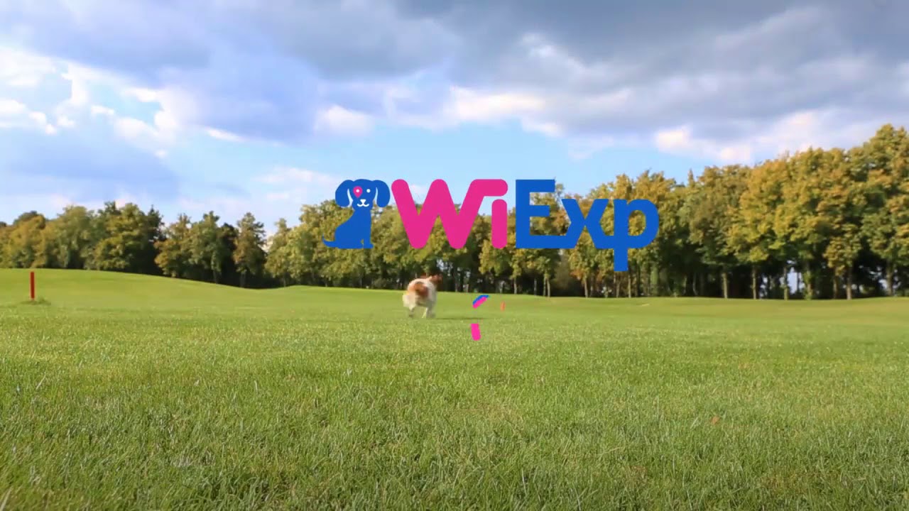 WiExp Wifi Marketing Anal&iacute;tico