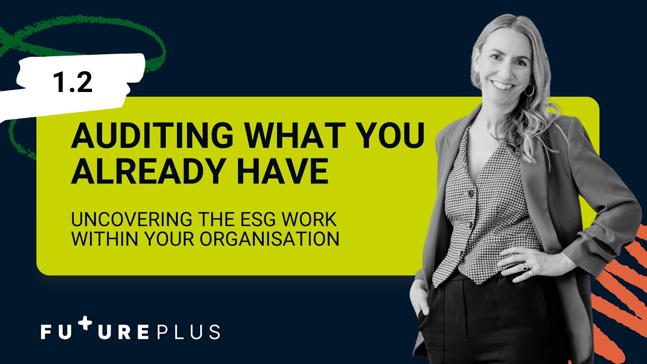 1.2 Assess: Auditing What You Already Have