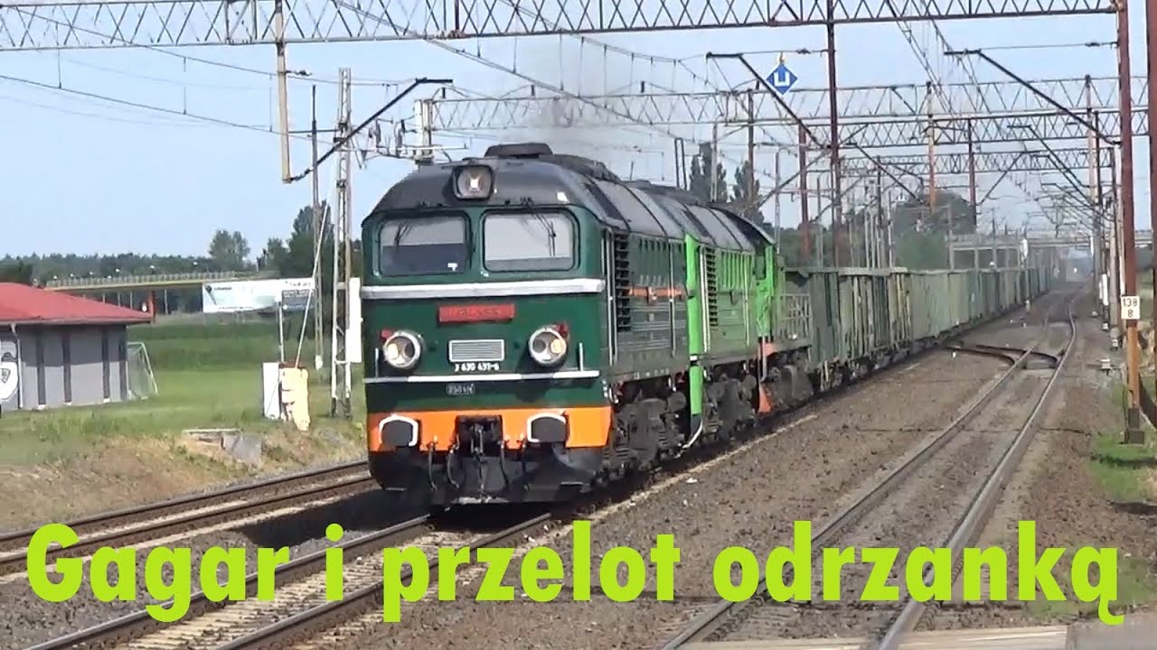 2022.06.16 Gagar i przelot odrzanką