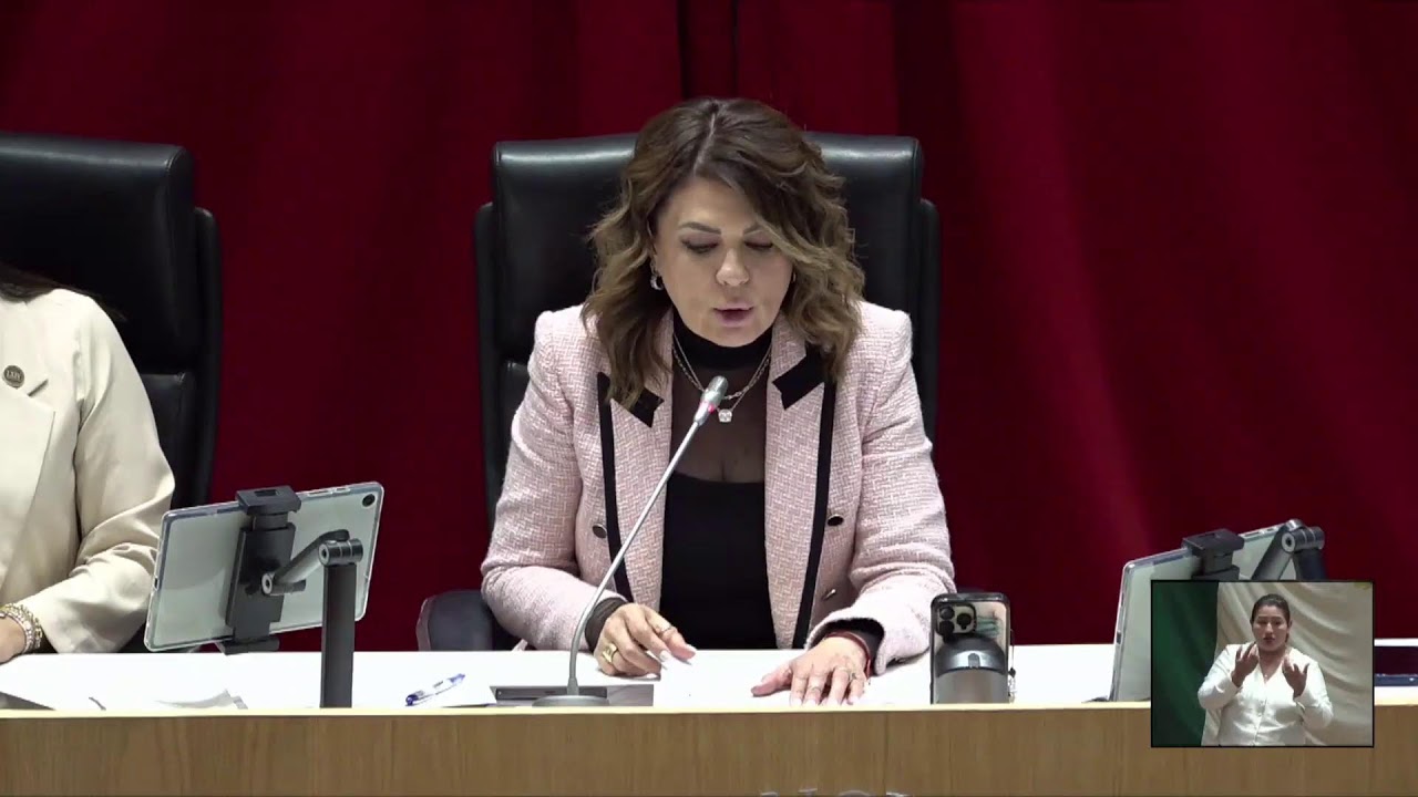 3 de Febrero 2026 - Sesión Ordinaria