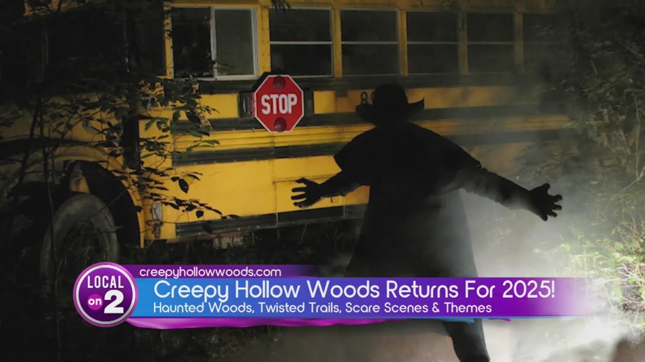 Creepy Hollow Woods
