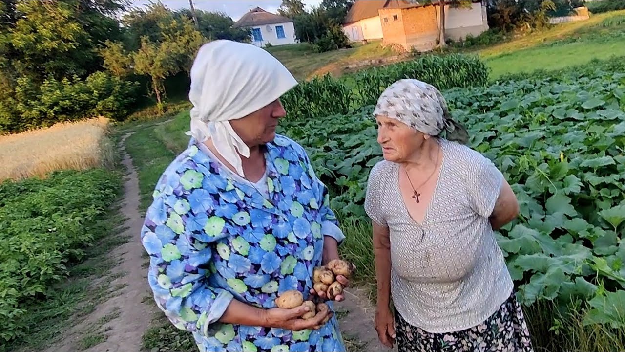 Баба Маня и баба Оля  Проверяем картошку 🌻🌻🌻
