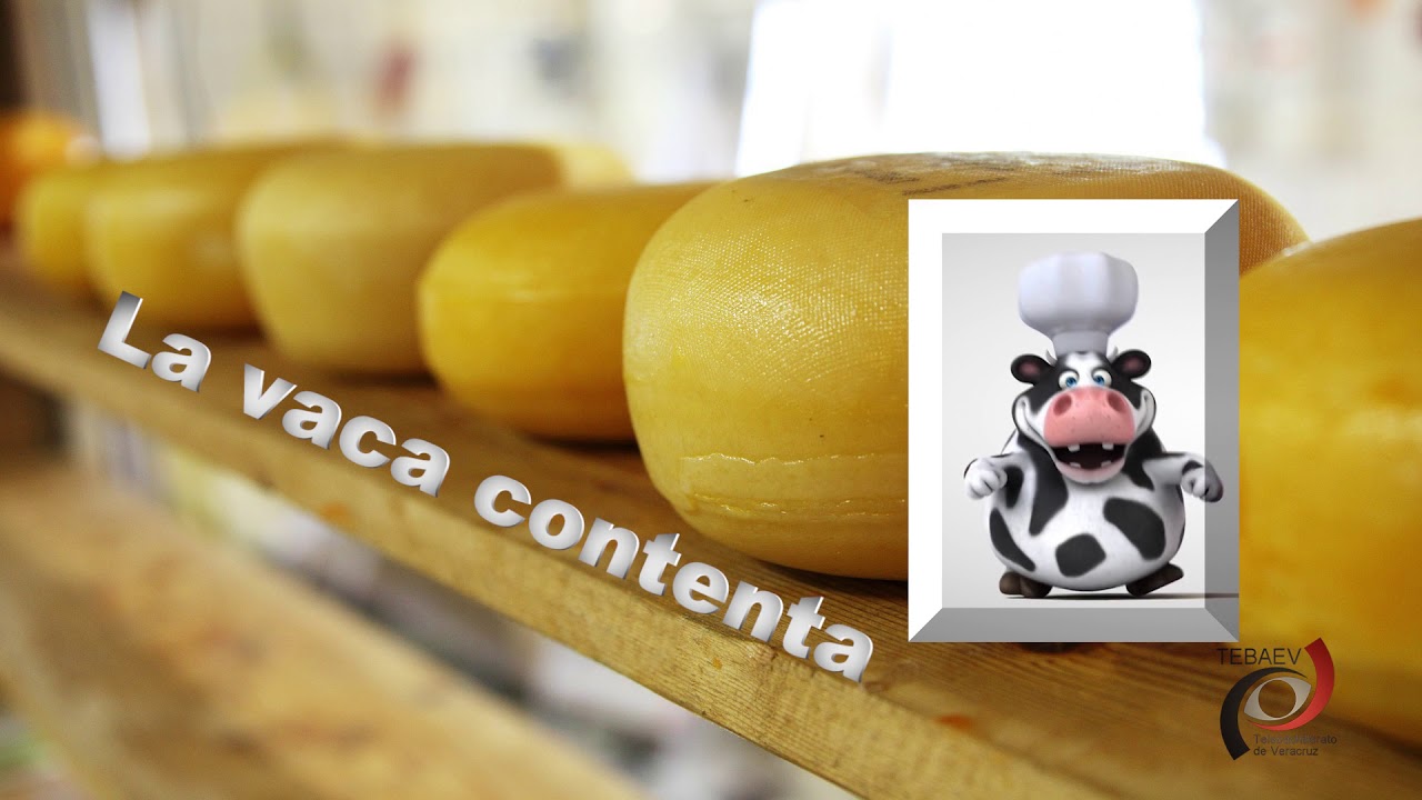 Catálogo de cuentas.