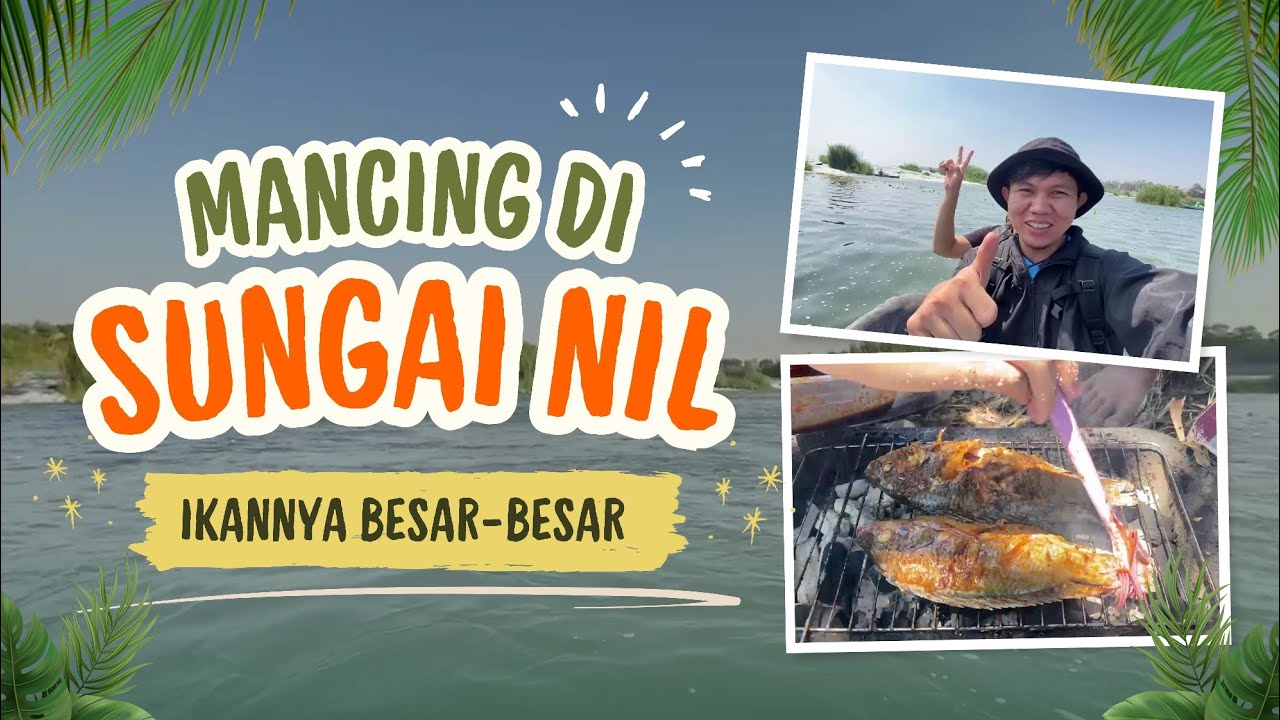Menaklukkan Sungai Nil: Mancing Ikan Raksasa di Mesir, Hasilnya di Luar Dugaan !!
