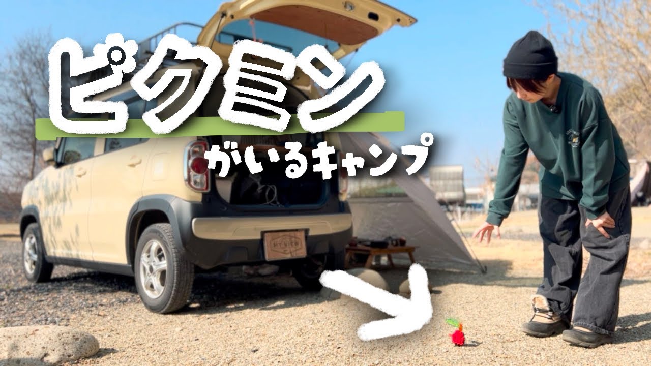 引っこ抜いて遊べる。パラコードでピクミンのペグカバーを作ってみた【ソロ車中泊キャンプ】
