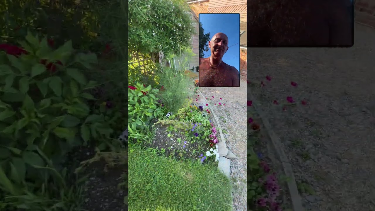 Get away from the computer spend time in the garden just appreciating nature #stresscoping 😎🥰