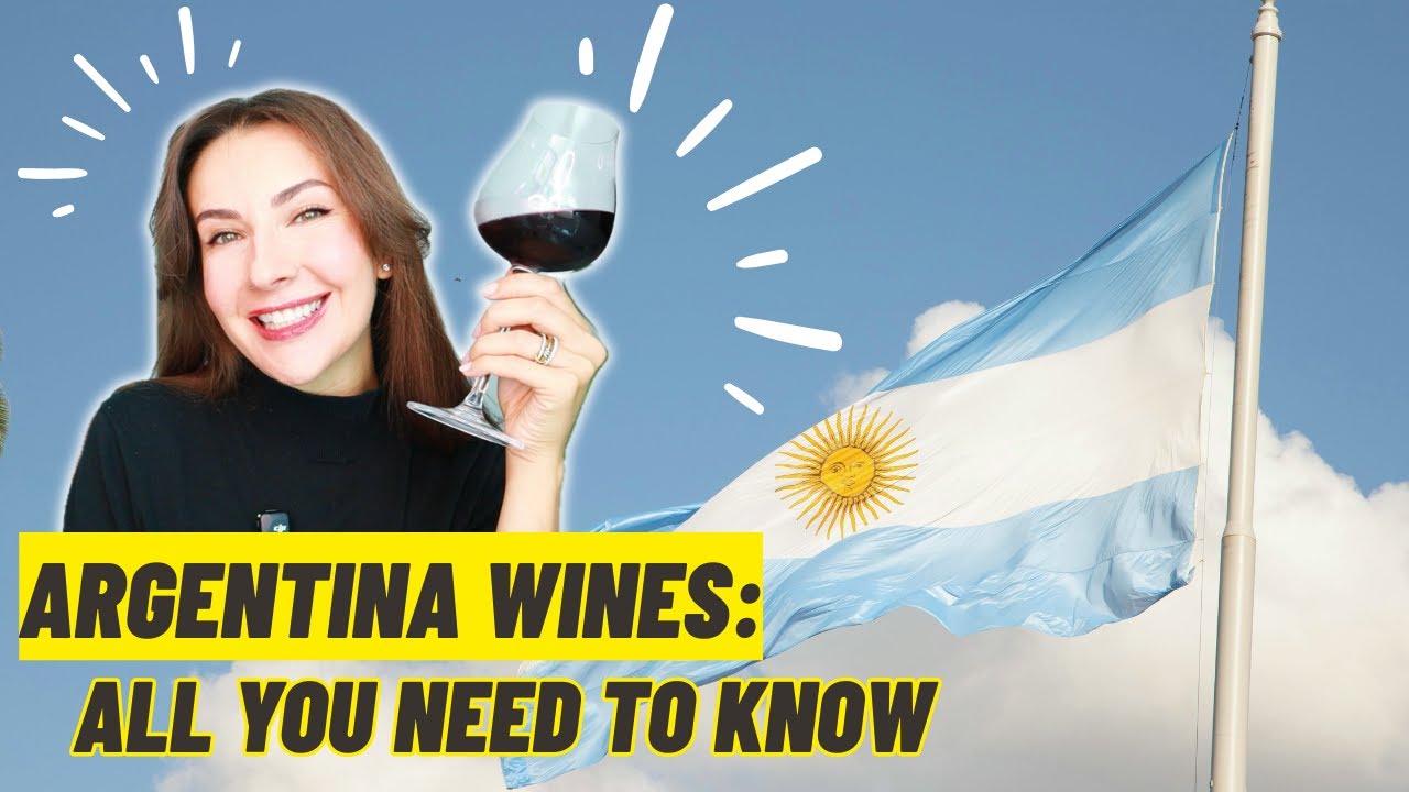 Wines of Argentina Explained 🍷