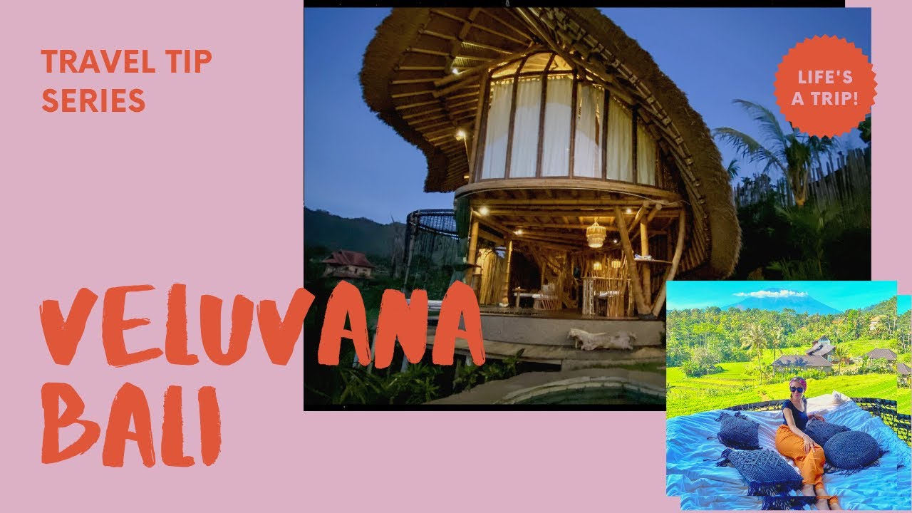 Veluvana is a unique bamboo house