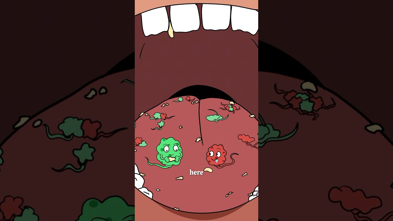 Why Your Breath Smells in the Morning  #animation  #health