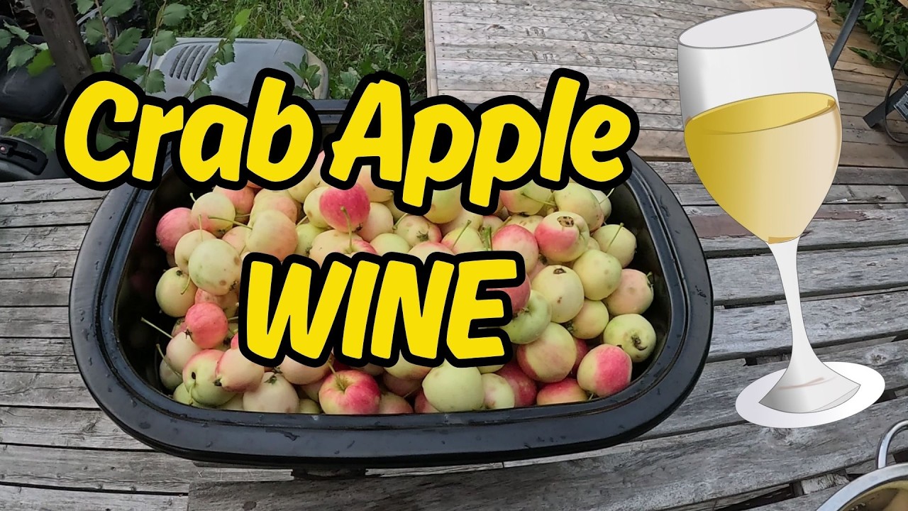 I made Crab apple wine or Hard Cider