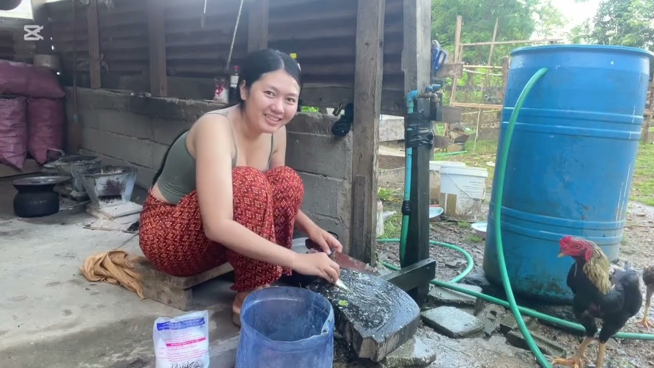 ￼ สาวลาวทำปลาแดดเดียว เพื่อเก็บไว้กิน ￼