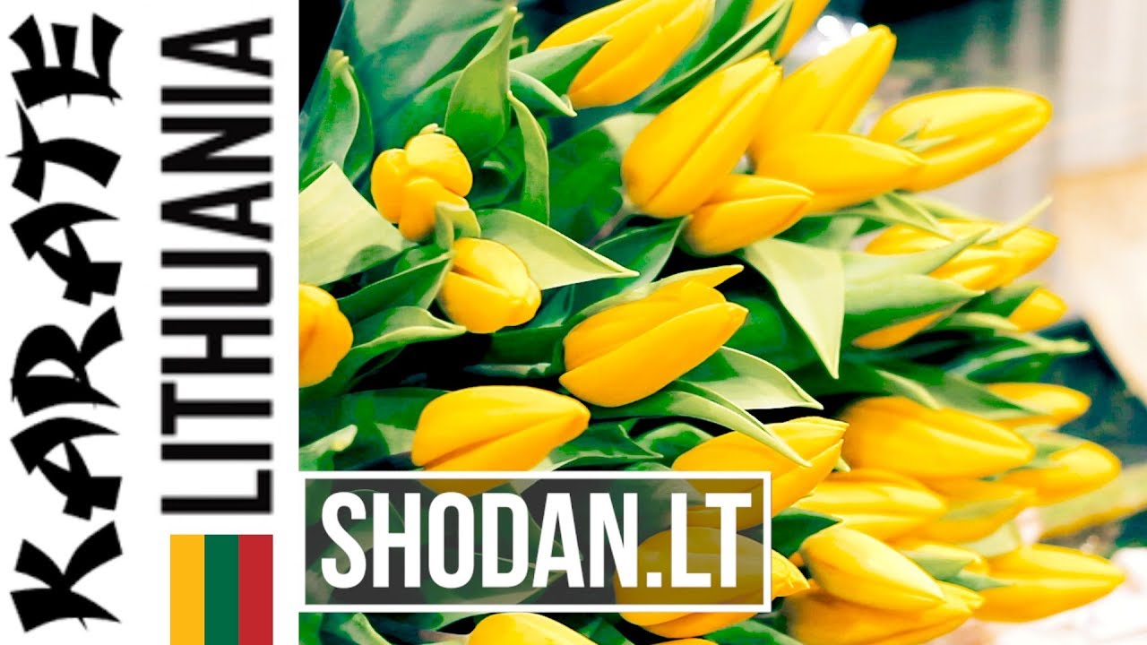 Shodan.lt:  新極真, 空手, Kyokushin Karate Kata 2019 Klaipeda, Lithuania