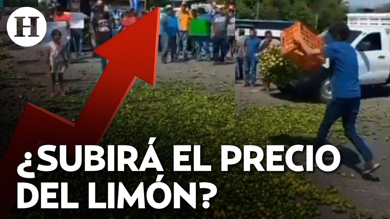 ¡Tiran limones al piso como protesta! Productores de limón exigen precios justos en Apatzingán