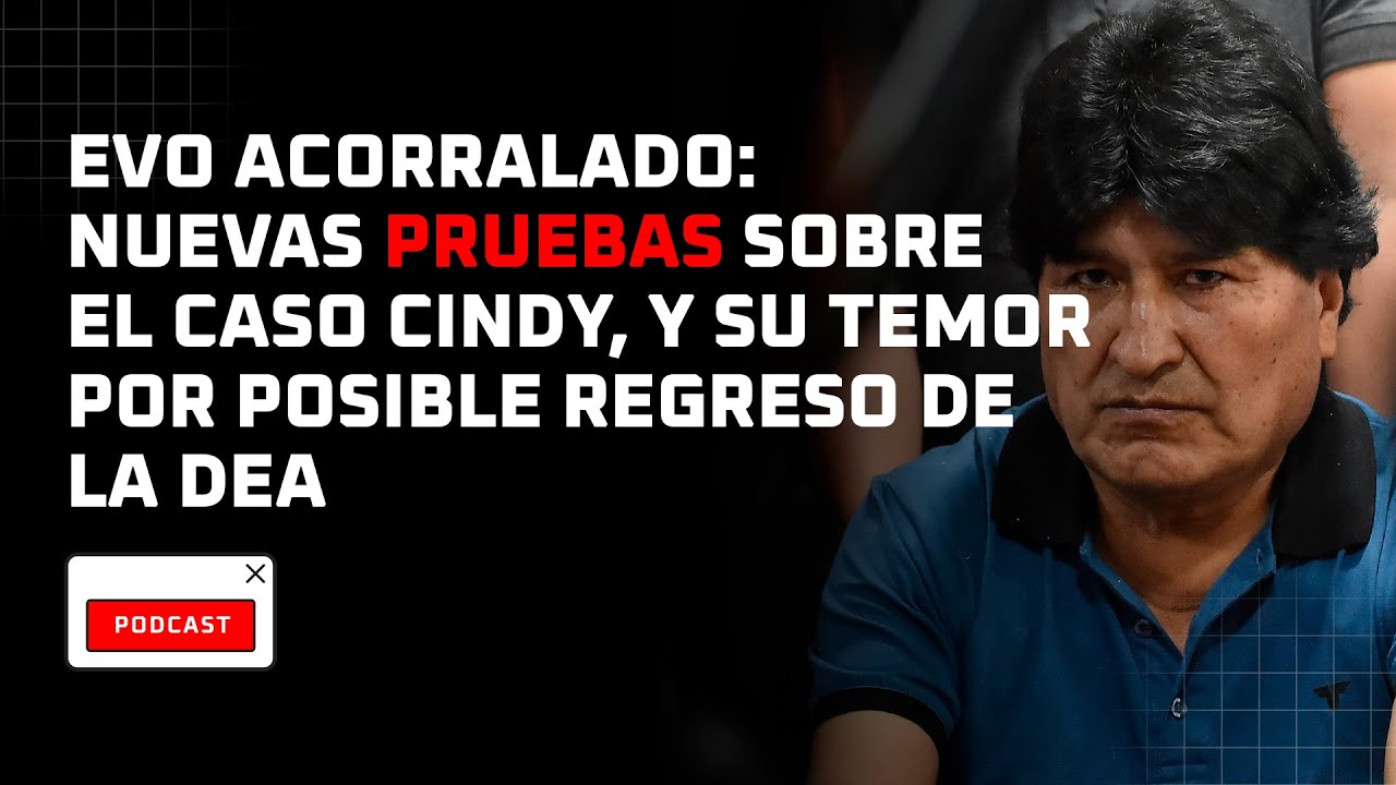 Evo acorralado: nuevas pruebas sobre el caso Cindy, y su temor por un posible regreso de la DEA