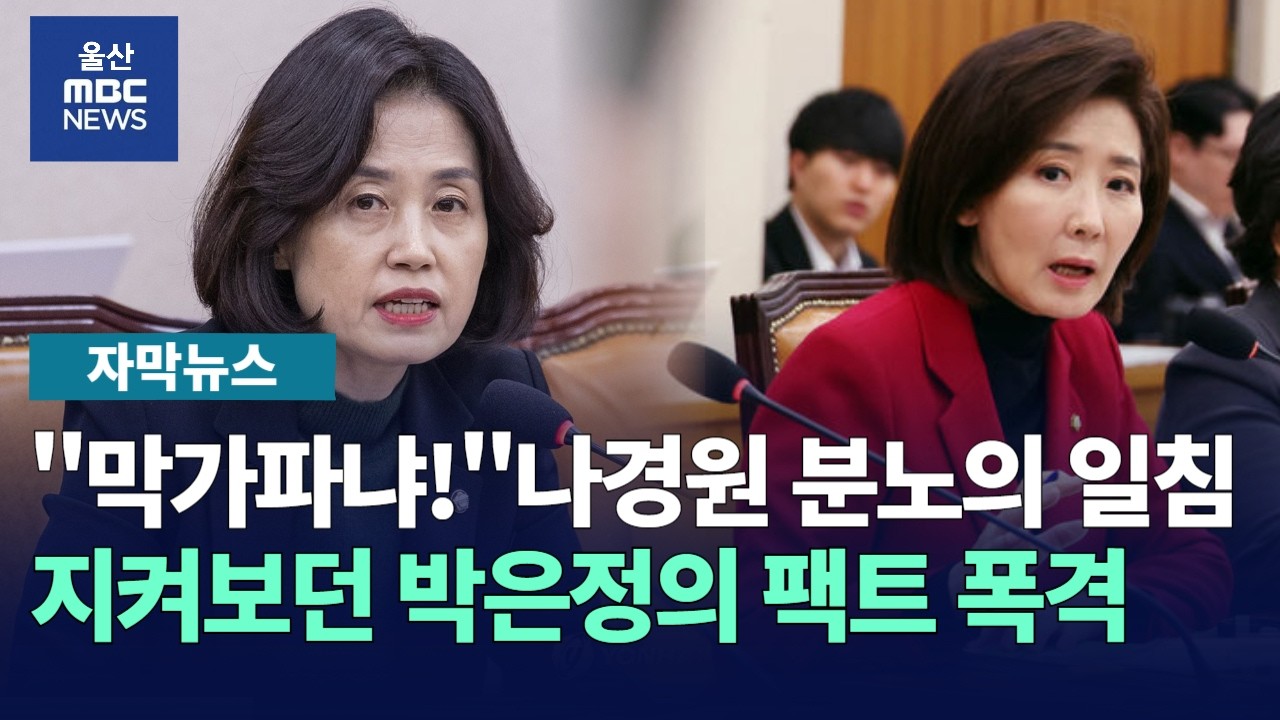 [자막뉴스] 